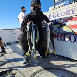 Meet your Posher, Damien